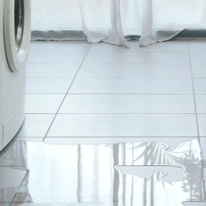 Appliance Leak Cleanup in Gassville, AR