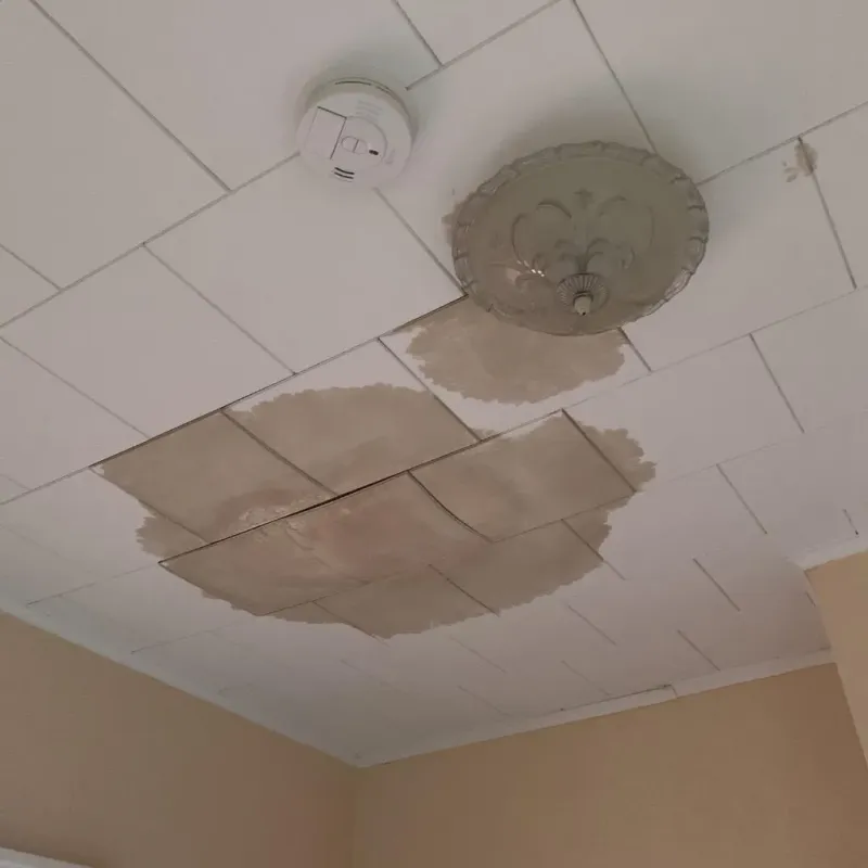 Ceiling Water Damage Repair in Gassville, AR