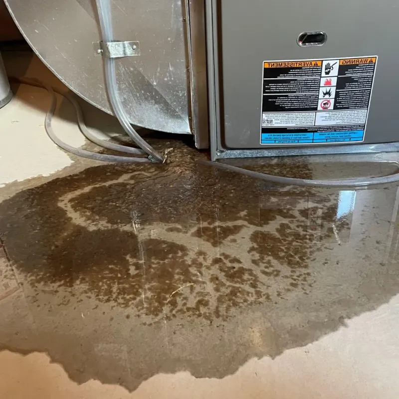 Pipe Burst and Leak Restoration in Gassville, AR