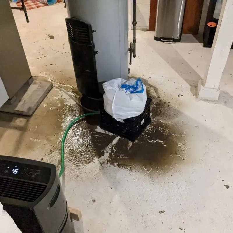 Sewage Backup Cleanup Service in Gassville, AR